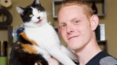 Unikalny trykolor kota jake z wielkiej brytanii